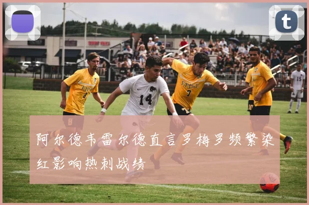 阿尔德韦雷尔德直言罗梅罗频繁染红影响热刺战绩