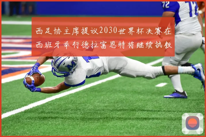 西足协主席提议2030世界杯决赛在西班牙举行德拉富恩特将继续执教国家队