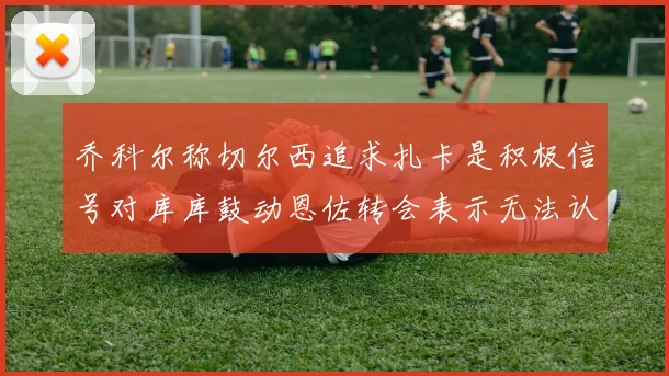 乔科尔称切尔西追求扎卡是积极信号对库库鼓动恩佐转会表示无法认同
