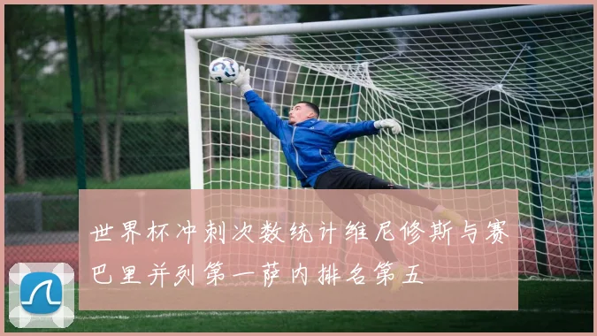 世界杯冲刺次数统计维尼修斯与赛巴里并列第一萨内排名第五