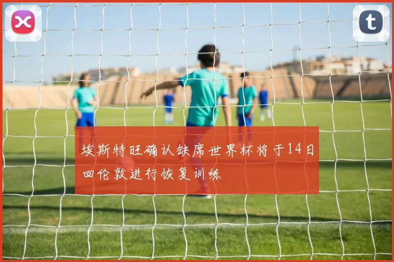 埃斯特旺确认缺席世界杯将于14日回伦敦进行恢复训练